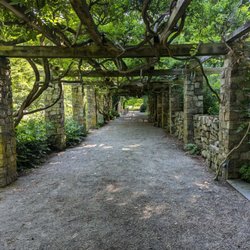 Cross Estate Gardens