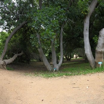 UCR Botanic Gardens - Botanical Gardens Near Me - Riverside, California