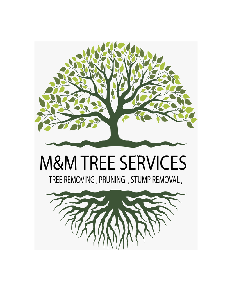 M&M TREE SERVICES - tree service in Lexington, KY