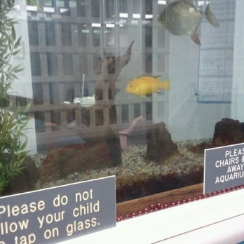 Southwest Children's Center - FISHIES!!! - Pediatricians Near Me - San Antonio, Texas Southwest Children's Center - FISHIES!!! - Pediatricians Near Me - San Antonio, Texas