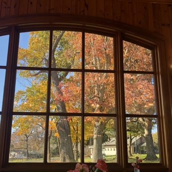 The Dillard House Restaurant - Not a bad view in the place - American Near Me - Dillard, Georgia