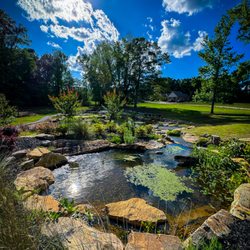 Modern Concept Custom Outdoor Creations - Wetland filtration for ecosystem swim pond