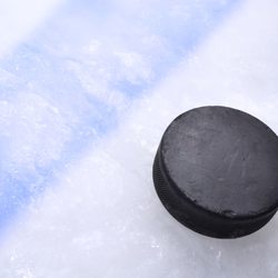 The Pond Hockey Club