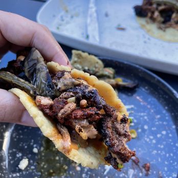Estella - Elk chorizo taco - Tacos Near Me - Reno, Nevada