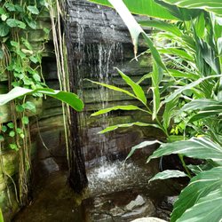 Domes Gift & Plant Shop - Waterfall