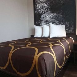 Super 8 by Wyndham Greeley - Guest room