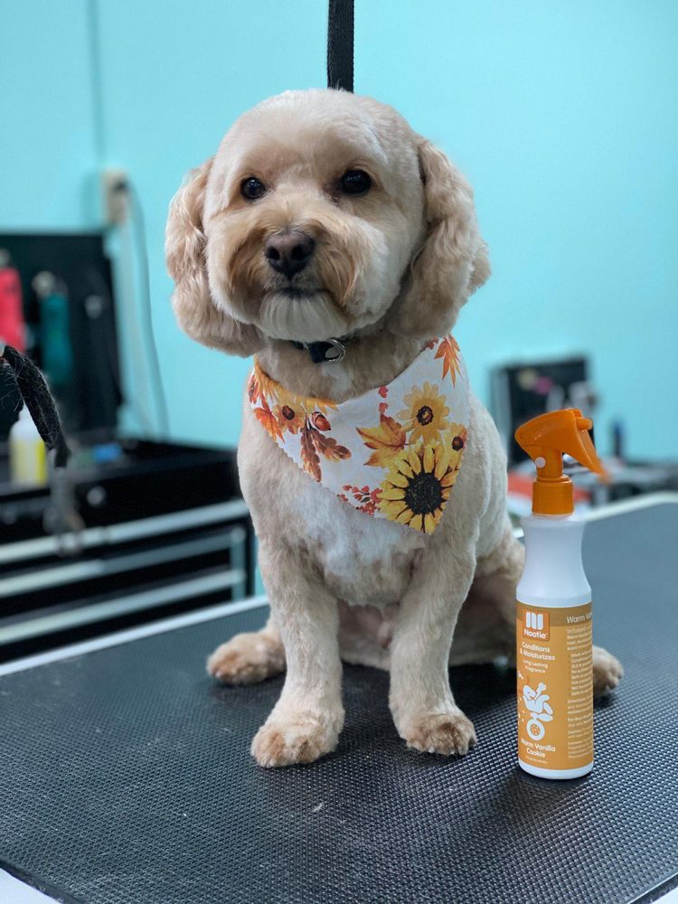 Photos of PETS CHOICE Updated August 2024 21 Photos & 21 Reviews