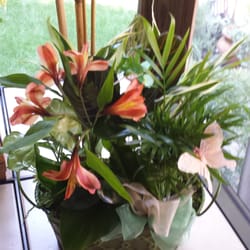 Botanica Flowers and Gifts