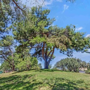 Highlands Park - Parks Near Me - Concord, California Highlands Park - Parks Near Me - Concord, California