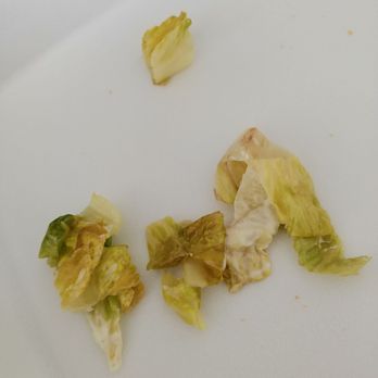 Pizza 360 - Lettuce....from the steak and cheese - Pizza Near Me - Ashburn, Virginia