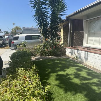 Palms Tree Care - After tree removal - Tree Services Near Me Palms Tree Care - After tree removal - Tree Services Near Me