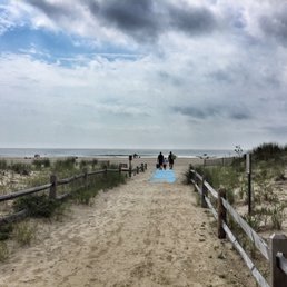 The beach