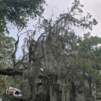 Costello's Tree Service - Tree blown over on my roof. - Tree Services Near Me - Keystone Heights, Florida Costello's Tree Service - Tree blown over on my roof. - Tree Services Near Me - Keystone Heights, Florida