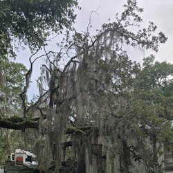 Costello's Tree Service - Tree blown over on my roof.