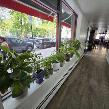 The Corner Lounge - Lovely plants lining the window - Italian Near Me - New York, New York The Corner Lounge - Lovely plants lining the window - Italian Near Me - New York, New York
