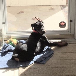 Kacie Marie Fiocchi Kacie Marie Fiocchi