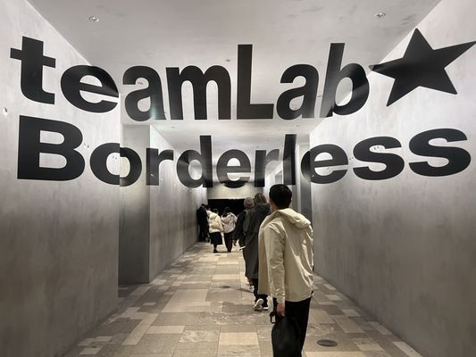 teamLab Borderless: MORI Building DIGITAL ART MUSEUM by null