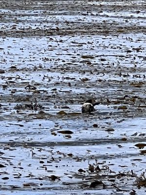 Chris' Fishing and Whale Watching by null