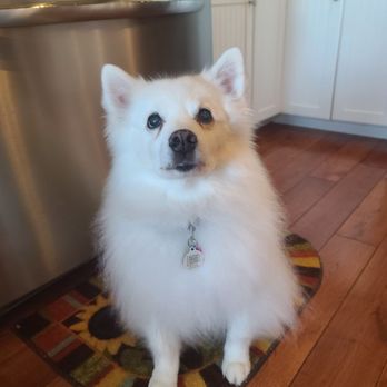 Allied Pet Crematory - Pet Cremation Services Near Me - Suisun City, California Allied Pet Crematory - Pet Cremation Services Near Me - Suisun City, California
