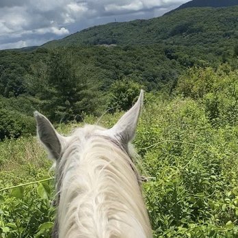 Banner Elk Stables - Horseback Riding Near Me - Banner Elk, North Carolina Banner Elk Stables - Horseback Riding Near Me - Banner Elk, North Carolina