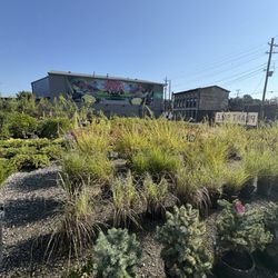 Hess' Landscaping & Nursery