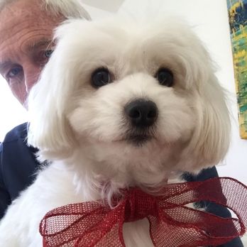 Malibu Vet Clinic - Madeleine Loves Malibu Vet Clinic - Veterinarians Near Me - Malibu, California
