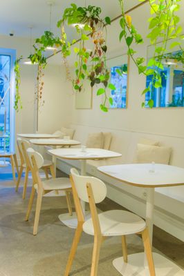 Clean Market by null