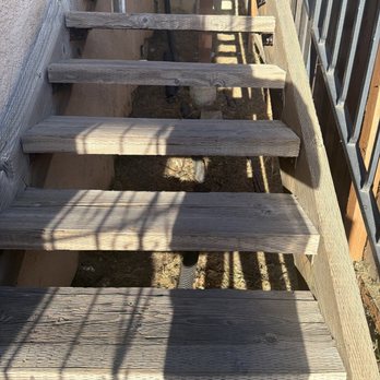 Rosales Landscaping Services - Under the stairs. - Landscaping Near Me Rosales Landscaping Services - Under the stairs. - Landscaping Near Me