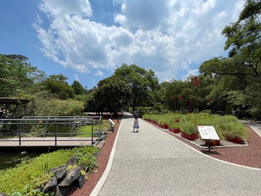 Jardín Botánico del Bosque de Chapultepec by null