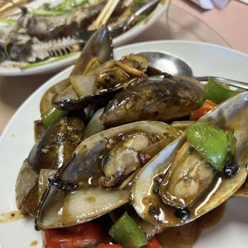 Best Hong Kong Dining - Green mussels - Chinese Near Me - Mesa, Arizona Best Hong Kong Dining - Green mussels - Chinese Near Me - Mesa, Arizona