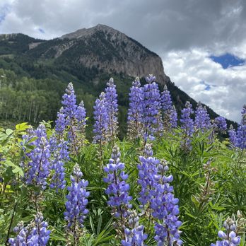 Elevation Hotel & Spa - Mount Crested Butte - Hotels Near Me - Crested Butte, Colorado Elevation Hotel & Spa - Mount Crested Butte - Hotels Near Me - Crested Butte, Colorado