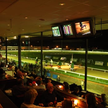 Peterborough Greyhounds - Arts & Entertainment Near Me Peterborough Greyhounds - Arts & Entertainment Near Me