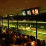 Photo of Peterborough Greyhounds