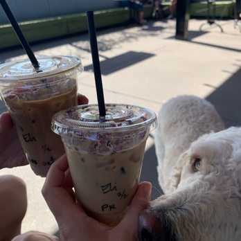 First Place Coffee - Spring speciality drinks - Coffee & Tea Near Me First Place Coffee - Spring speciality drinks - Coffee & Tea Near Me