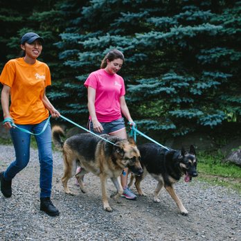 Gracelane Kennels - Want your dog to have daily walks? We offer those as add-ons for your pup during their stay! - Pet Groomers Near Me - Ossining, New York Gracelane Kennels - Want your dog to have daily walks? We offer those as add-ons for your pup during their stay! - Pet Groomers Near Me - Ossining, New York