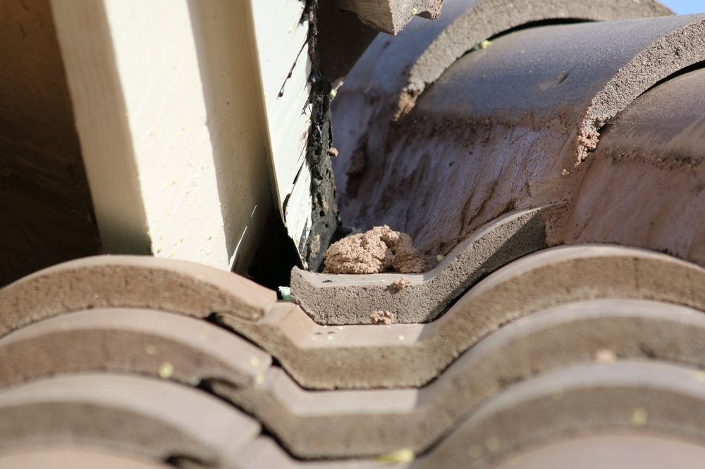 Slide of Latite Roofing and Sheet Metal