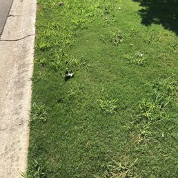 a patch of grass on the side of a road