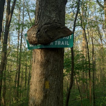 Monte Sano State Park - 03-26-12; Monte Sano State Park [Tree is tired of being upstaged by the sign bolted to it], Huntsville, AL - Parks Near Me - Huntsville, Alabama
