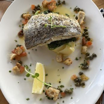 Aqua - Hake Lunch Special - Seafood Near Me - Dublin, D Aqua - Hake Lunch Special - Seafood Near Me - Dublin, D