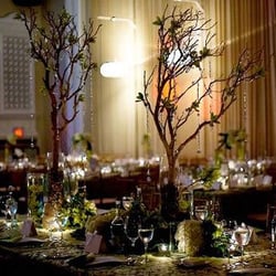 Vchilli Events