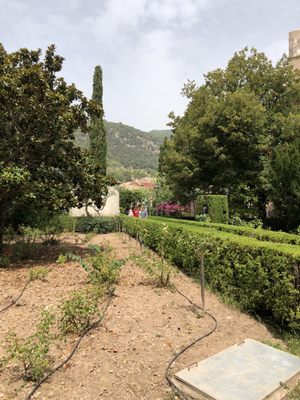 Valldemossa by null