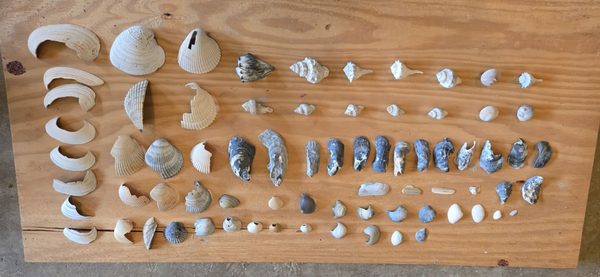 Shutters On the Banks by null