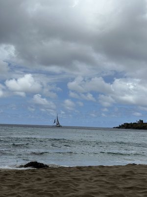 Slaughterhouse Beach by null