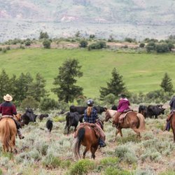 Black Mountain Ranch - Bringing in the cattle