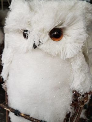 Christmas Tree Shops Andthat 845 Ernest W Barrett Pwky Nw Kennesaw Ga Variety Stores Mapquest