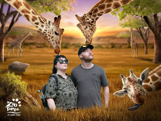 ZooTampa at Lowry Park by null