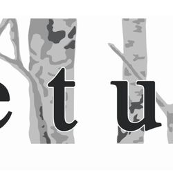 Betula Boutique