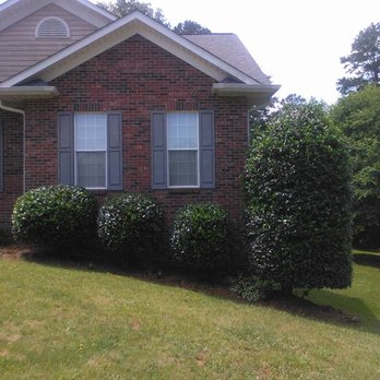 Top Notch Pruning - Tree Services Near Me - Cary, North Carolina Top Notch Pruning - Tree Services Near Me - Cary, North Carolina