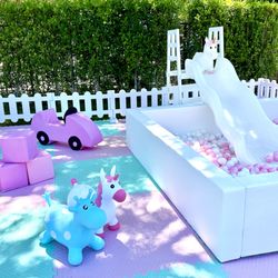 Party Poppins LA - Slide with ball pit