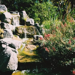 De Plantentuin - Waterval midden in 't Stad!